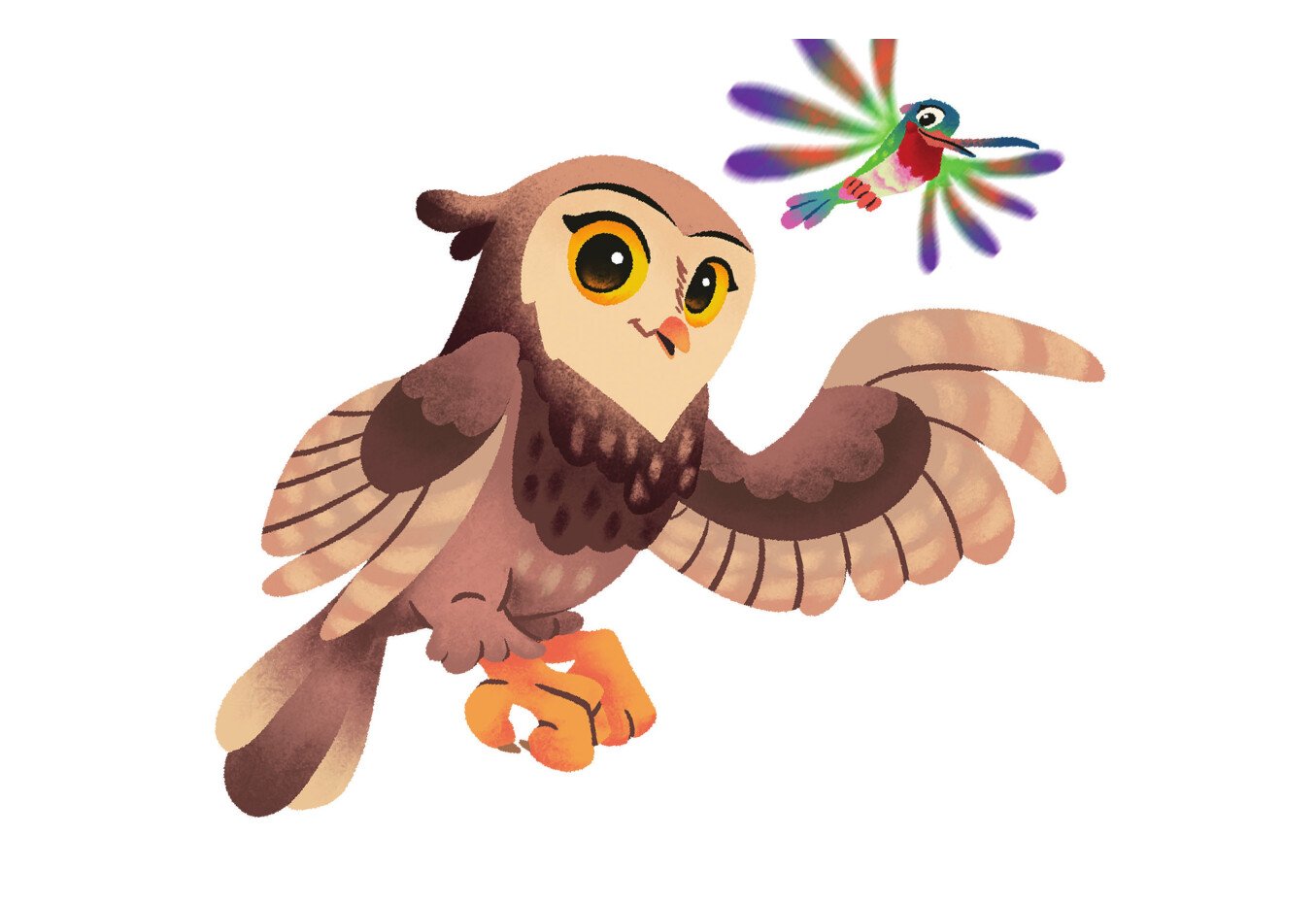 Odessa the owl and Helen the hummingbird